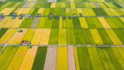 &Psi;ή&phi;&iota;&sigma;&mu;&alpha; &tau;&eta;&sigmaf; &Gamma;&epsilon;&nu;&iota;&kappa;ή&sigmaf; &Sigma;&upsilon;&nu;έ&lambda;&epsilon;&upsilon;&sigma;&eta;&sigmaf; &tau;&eta;&sigmaf; &Pi;&Epsilon;&Gamma;&Delta;&Upsilon; &gamma;&iota;&alpha; &tau;&eta; &mu;&epsilon;&tau;&alpha;&phi;&omicron;&rho;ά &pi;&rho;&omicron;&sigma;&omega;&pi;&iota;&kappa;&omicron;ύ &tau;&omega;&nu; &epsilon;&pi;&omicron;&pi;&tau;&epsilon;&upsilon;ό&mu;&epsilon;&nu;&omega;&nu; &phi;&omicron;&rho;έ&omega;&nu; &sigma;&tau;&omicron;&nu; &Omicron;&Pi;&Epsilon;&Kappa;&Epsilon;&Pi;&Epsilon;