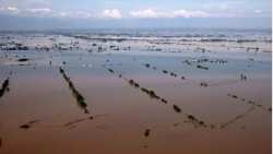 &Upsilon;&Pi;&Alpha;&Alpha;&Tau;: &Epsilon;&gamma;&kappa;&alpha;ί&rho;&omega;&sigmaf; &xi;&epsilon;&kappa;ί&nu;&eta;&sigma;&epsilon; &eta; &pi;&epsilon;&rho;&iota;&sigma;&upsilon;&lambda;&lambda;&omicron;&gamma;ή &tau;&omega;&nu; &nu;&epsilon;&kappa;&rho;ώ&nu; &zeta;ώ&omega;&nu;