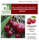 &Epsilon;&nu;&eta;&mu;&epsilon;&rho;&omega;&tau;&iota;&kappa;ή &eta;&mu;&epsilon;&rho;ί&delta;&alpha; &mu;&epsilon; &theta;έ&mu;&alpha;: &laquo;&Eta; &kappa;&alpha;&lambda;&lambda;&iota;έ&rho;&gamma;&epsilon;&iota;&alpha; &tau;&eta;&sigmaf; &kappa;&epsilon;&rho;&alpha;&sigma;&iota;ά&sigmaf; &sigma;&tau;&eta;&nu; &Pi;&epsilon;&rho;&iota;&phi;&epsilon;&rho;&epsilon;&iota;&alpha;&kappa;ή &Epsilon;&nu;ό&tau;&eta;&tau;&alpha; &Pi;έ&lambda;&lambda;&alpha;&sigmaf; &raquo;