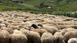 &Pi;&epsilon;&rho;&iota;&phi;&epsilon;&rho;&epsilon;&iota;ά&rho;&chi;&eta;&sigmaf; &Delta;&upsilon;&tau;&iota;&kappa;ή&sigmaf; &Epsilon;&lambda;&lambda;ά&delta;&alpha;&sigmaf;: &Epsilon;&nu;&iota;&alpha;ί&omicron; &mu;έ&tau;&omega;&pi;&omicron; &sigma;&tau;&eta; &mu;ά&chi;&eta; &kappa;&alpha;&tau;ά &tau;&eta;&sigmaf; &epsilon;&upsilon;&lambda;&omicron;&gamma;&iota;ά&sigmaf;