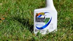 &Eta; &mu;&omicron;ί&rho;&alpha; &tau;&omicron;&upsilon; Glyphosate &epsilon;&xi;&alpha;&kappa;&omicron;&lambda;&omicron;&upsilon;&theta;&epsilon;ί &nu;&alpha; &alpha;&iota;&omega;&rho;&epsilon;ί&tau;&alpha;&iota; &mu;&epsilon;&tau;ά &alpha;&pi;ό &alpha;&sigma;&alpha;&phi;ή &psi;&eta;&phi;&omicron;&phi;&omicron;&rho;ί&alpha; &sigma;&tau;&eta;&nu; &Epsilon;&Epsilon;