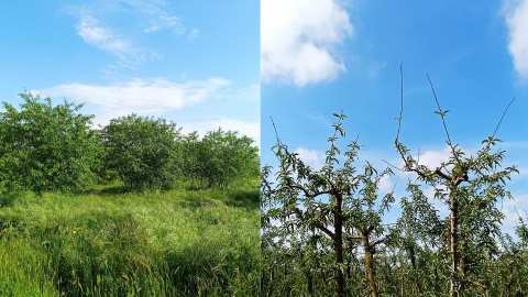 &Kappa;&rho;ί&sigma;&eta; &sigma;&tau;&omicron;&nu; &kappa;ά&mu;&pi;&omicron; &tau;&eta;&sigmaf; &Eta;&mu;&alpha;&theta;ί&alpha;&sigmaf;: &Kappa;ό&sigma;&tau;&omicron;&sigmaf;, &alpha;&sigma;&theta;έ&nu;&epsilon;&iota;&epsilon;&sigmaf; &kappa;&alpha;&iota; έ&lambda;&lambda;&epsilon;&iota;&psi;&eta; &epsilon;&rho;&gamma;&alpha;&tau;ώ&nu; - &Delta;ύ&sigma;&kappa;&omicron;&lambda;&alpha; &nu;&alpha; &tau;&alpha; &beta;&gamma;ά&lambda;&omicron;&upsilon;&nu; &pi;έ&rho;&alpha; &omicron;&iota; &pi;&alpha;&rho;&alpha;&gamma;&omega;&gamma;&omicron;ί