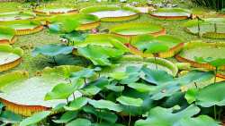 &Sigma;&kappa;&rho;έ&kappa;&alpha;&sigmaf;: &laquo;&Sigma;&tau;&rho;έ&phi;&omicron;&upsilon;&mu;&epsilon; &tau;&eta;&nu; &Kappa;&omicron;&zeta;ά&nu;&eta;, &tau;&eta; &Phi;&lambda;ώ&rho;&iota;&nu;&alpha; &kappa;&alpha;&iota; &tau;&eta; &Mu;&epsilon;&gamma;&alpha;&lambda;ό&pi;&omicron;&lambda;&eta; &pi;&rho;&omicron;&sigmaf; &tau;&omicron; &mu;έ&lambda;&lambda;&omicron;&nu; &mu;&epsilon; &beta;ά&sigma;&eta; &tau;&iota;&sigmaf; &alpha;&rho;&chi;έ&sigmaf; &tau;&eta;&sigmaf; &kappa;&upsilon;&kappa;&lambda;&iota;&kappa;ή&sigmaf; &omicron;&iota;&kappa;&omicron;&nu;&omicron;&mu;ί&alpha;&sigmaf;&raquo;