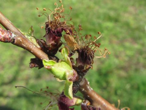 &Upsilon;&phi;&Alpha;&Alpha;&Tau;, &Gamma;. &Omicron;&iota;&kappa;&omicron;&nu;ό&mu;&omicron;&upsilon;: Ό&lambda;&epsilon;&sigmaf; &omicron;&iota; &kappa;&alpha;&lambda;&lambda;&iota;έ&rho;&gamma;&epsilon;&iota;&epsilon;&sigmaf; &pi;&omicron;&upsilon; &epsilon;&pi;&lambda;ή&gamma;&eta;&sigma;&alpha;&nu; &theta;&alpha; &alpha;&pi;&omicron;&zeta;&eta;&mu;&iota;&omega;&theta;&omicron;ύ&nu; έ&gamma;&kappa;&alpha;&iota;&rho;&alpha; &kappa;&alpha;&iota; &delta;ί&kappa;&alpha;&iota;&alpha;