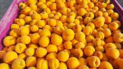 &Epsilon;&Kappa;&Epsilon;: &Pi;&rho;&omicron;&omicron;&pi;&tau;&iota;&kappa;έ&sigmaf; &kappa;&alpha;&iota; &alpha;&pi;&epsilon;&iota;&lambda;έ&sigmaf; &gamma;&iota;&alpha; &tau;&iota;&sigmaf; &epsilon;&xi;&alpha;&gamma;&omega;&gamma;έ&sigmaf; &tau;&eta;&sigmaf; &epsilon;&lambda;&lambda;&eta;&nu;&iota;&kappa;ή&sigmaf; &kappa;&omicron;&mu;&pi;ό&sigma;&tau;&alpha;&sigmaf; &phi;&rho;&omicron;ύ&tau;&omega;&nu; | &Alpha;&gamma;&rho;&omicron;&tau;&iota;&kappa;ά &nu;έ&alpha; &kappa;&alpha;&iota; &epsilon;&iota;&delta;ή&sigma;&epsilon;&iota;&sigmaf; IMATHIOTIKIGI.GR