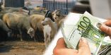 &Pi;&omicron;&iota;&alpha; &tau;&alpha; &pi;&omicron;&sigma;ά &omicron;&iota;&kappa;&omicron;&nu;&omicron;&mu;&iota;&kappa;ή&sigmaf; &epsilon;&nu;ί&sigma;&chi;&upsilon;&sigma;&eta;&sigmaf; &alpha;&nu;ά &epsilon;ί&delta;&omicron;&sigmaf; &zeta;ώ&omicron;&upsilon; &gamma;&iota;&alpha; &tau;&omicron;&upsilon;&sigmaf; &kappa;&tau;&eta;&nu;&omicron;&tau;&rho;ό&phi;&omicron;&upsilon;&sigmaf; &pi;&omicron;&upsilon; &epsilon;&nu;&tau;ά&sigma;&sigma;&omicron;&nu;&tau;&alpha;&iota; &sigma;&tau;&omicron; &pi;&rho;ό&gamma;&rho;&alpha;&mu;&mu;&alpha; &Delta;&iota;&alpha;&tau;ή&rho;&eta;&sigma;&eta;&sigmaf; &Alpha;&upsilon;&tau;ό&chi;&theta;&omicron;&nu;&omega;&nu; &Phi;&upsilon;&lambda;ώ&nu;