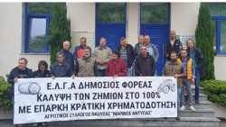 &Pi;&alpha;&rho;ά&sigma;&tau;&alpha;&sigma;&eta; &delta;&iota;&alpha;&mu;&alpha;&rho;&tau;&upsilon;&rho;ί&alpha;&sigmaf; &alpha;&gamma;&rho;&omicron;&tau;ώ&nu; &sigma;&tau;&omicron; &upsilon;&pi;&omicron;&kappa;&alpha;&tau;ά&sigma;&tau;&eta;&mu;&alpha; &tau;&omicron;&upsilon; &Epsilon;&Lambda;&Gamma;&Alpha; &sigma;&tau;&eta; &Beta;έ&rho;&omicron;&iota;&alpha;