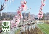 &Tau;&eta;&nu; &Pi;έ&mu;&pi;&tau;&eta; &pi;&lambda;&eta;&rho;ώ&nu;&epsilon;&iota; &omicron; &Epsilon;&Lambda;&Gamma;&Alpha; 71 &epsilon;&kappa;&alpha;&tau;. &euro; &gamma;&iota;&alpha; &tau;&omicron;&nu; &laquo;&pi;&alpha;&gamma;&epsilon;&tau;ό Ά&nu;&omicron;&iota;&xi;&eta; &lsquo;21&raquo;