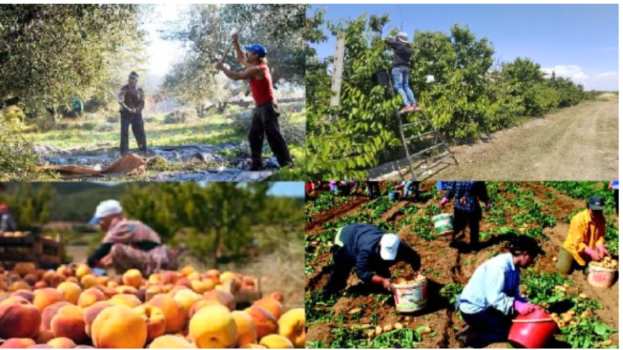 Έ&lambda;&lambda;&epsilon;&iota;&psi;&eta; &epsilon;&rho;&gamma;&alpha;&tau;ώ&nu; &gamma;&eta;&sigmaf;: &Mu;&epsilon;&gamma;ά&lambda;&eta; &eta; &alpha;&nu;&eta;&sigma;&upsilon;&chi;ί&alpha; &tau;&omega;&nu; &alpha;&gamma;&rho;&omicron;&tau;ώ&nu;