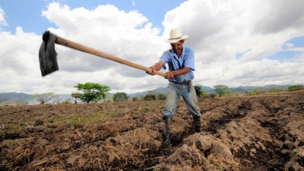 &Alpha;&Gamma;&Rho;&Omicron;&Tau;&Eta;&Sigma;: &Nu;&omicron;&iota;&kappa;&omicron;&kappa;ύ&rho;&eta;&sigmaf; ή &epsilon;&pi;&iota;&delta;&omicron;&tau;&omicron;ύ&mu;&epsilon;&nu;&omicron;&sigmaf; &eta;&mu;&iota;-&alpha;&sigma;&tau;ό&sigmaf;;