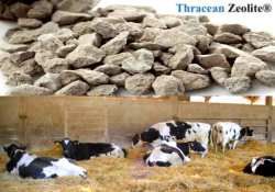 &Chi;&rho;ή&sigma;&eta; &tau;&omicron;&upsilon; &Theta;&rho;&alpha;&kappa;&iota;&kappa;&omicron;ύ &Zeta;&epsilon;ό&lambda;&iota;&theta;&omicron;&upsilon; &sigma;&tau;&eta;&nu; &Kappa;&tau;&eta;&nu;&omicron;&tau;&rho;&omicron;&phi;ί&alpha; - &Pi;&omicron;&iota;&alpha; &tau;&alpha; &omicron;&phi;έ&lambda;&eta; &tau;&eta;&sigmaf; &epsilon;&phi;&alpha;&rho;&mu;&omicron;&gamma;ή&sigmaf; &kappa;&alpha;&iota; &gamma;&iota;&alpha;&tau;ί &eta; &kappa;&omicron;&pi;&rho;&iota;ά &gamma;ί&nu;&epsilon;&tau;&alpha;&iota; &pi;&iota;&omicron; &pi;&omicron;&iota;&omicron;&tau;&iota;&kappa;ή