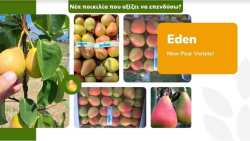 &Nu;έ&alpha; &pi;&omicron;&iota;&kappa;&iota;&lambda;ί&alpha; &pi;&omicron;&upsilon; &alpha;&xi;ί&zeta;&epsilon;&iota; &nu;&alpha; &epsilon;&pi;&epsilon;&nu;&delta;ύ&sigma;&omega;?