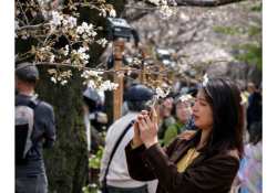 &Tau;&iota;&sigmaf; &alpha;&nu;&theta;&iota;&sigma;&mu;έ&nu;&epsilon;&sigmaf; &kappa;&epsilon;&rho;&alpha;&sigma;&iota;έ&sigmaf; &alpha;&pi;&omicron;&lambda;&alpha;&mu;&beta;ά&nu;&epsilon;&iota; &pi;&lambda;ή&theta;&omicron;&sigmaf; &kappa;ό&sigma;&mu;&omicron;&upsilon; &sigma;&tau;&omicron; &Tau;ό&kappa;&iota;&omicron;