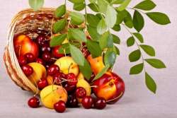 &Omicron;&iota; &pi;&omega;&lambda;ή&sigma;&epsilon;&iota;&sigmaf; &kappa;&alpha;&tau;&alpha;&rho;&rho;έ&omicron;&upsilon;&nu;