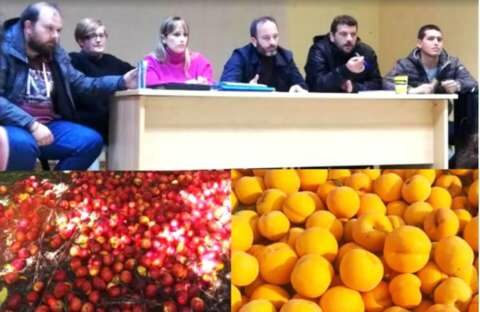 &Alpha;&nu;&alpha;&kappa;&omicron;ί&nu;&omega;&sigma;&eta; &Alpha;&Sigma; &Eta;&mu;&alpha;&theta;ί&alpha;&sigmaf; &gamma;&iota;&alpha; &epsilon;&nu;&iota;&sigma;&chi;ύ&sigma;&epsilon;&iota;&sigmaf; De minimis &alpha;&pi;ό &tau;&iota;&sigmaf; &beta;&rho;&omicron;&chi;&omicron;&pi;&tau;ώ&sigma;&epsilon;&iota;&sigmaf; &kappa;&alpha;&iota; &tau;&omicron; &alpha;&pi;&omicron;&theta;&epsilon;&mu;&alpha;&tau;&iota;&kappa;ό &kappa;&rho;ί&sigma;&eta;&sigmaf; &tau;&eta;&sigmaf; &Epsilon;&Epsilon;