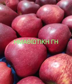 &Mu;&omicron;&lambda;&delta;&alpha;&beta;&iota;&kappa;ά &mu;ή&lambda;&alpha;, &nu;έ&epsilon;&sigmaf; &delta;&iota;&alpha;&delta;&rho;&omicron;&mu;έ&sigmaf; &pi;&rho;&omicron;&sigmaf; &tau;&eta; &Delta;ύ&sigma;&eta;