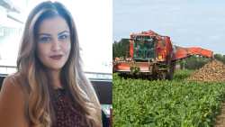 &Epsilon;&lambda;&lambda;&eta;&nu;&iota;&kappa;ή &Beta;&iota;&omicron;&mu;&eta;&chi;&alpha;&nu;ί&alpha; &Zeta;&alpha;&chi;ά&rho;&epsilon;&omega;&sigmaf;: &Eta; &Gamma;&epsilon;&omega;&rho;&gamma;&iota;&kappa;ή &beta;&iota;&omicron;&mu;&eta;&chi;&alpha;&nu;ί&alpha; &mu;&epsilon; &omicron;&iota;&kappa;&omicron;&nu;&omicron;&mu;&iota;&kappa;ή, &kappa;&omicron;&iota;&nu;&omega;&nu;&iota;&kappa;ή &kappa;&alpha;&iota; &epsilon;&theta;&nu;&iota;&kappa;ή &sigma;&eta;&mu;&alpha;&sigma;ί&alpha;