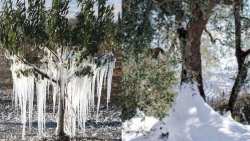 &Pi;&omega;&sigmaf; &epsilon;&pi;&iota;&delta;&rho;&omicron;ύ&nu; &chi;&alpha;&mu;&eta;&lambda;έ&sigmaf; &theta;&epsilon;&rho;&mu;&omicron;&kappa;&rho;&alpha;&sigma;ί&epsilon;&sigmaf; &sigma;&tau;&alpha; &omicron;&pi;&omega;&rho;&omicron;&phi;ό&rho;&alpha; &delta;έ&nu;&tau;&rho;&alpha; &kappa;&alpha;&iota; &tau;&eta;&nu; &epsilon;&lambda;&iota;ά