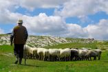 &Epsilon;&xi;&alpha;&sigma;&phi;&alpha;&lambda;ί&sigma;&tau;&eta;&kappa;&alpha;&nu; 9,1 &epsilon;&kappa;&alpha;&tau;. &epsilon;&upsilon;&rho;ώ &gamma;&iota;&alpha; &tau;&eta;&nu; &kappa;&alpha;&tau;&alpha;&beta;&omicron;&lambda;ή &kappa;&rho;&alpha;&tau;&iota;&kappa;ώ&nu; &epsilon;&nu;&iota;&sigma;&chi;ύ&sigma;&epsilon;&omega;&nu; ή&sigma;&sigma;&omicron;&nu;&omicron;&sigmaf; &sigma;&eta;&mu;&alpha;&sigma;ί&alpha;&sigmaf; (de minimis) &sigma;&tau;&omicron;&upsilon;&sigmaf; &alpha;&iota;&gamma;&omicron;&pi;&rho;&omicron;&beta;&alpha;&tau;&omicron;&tau;&rho;ό&phi;&omicron;&upsilon;&sigmaf; &tau;&eta;&sigmaf; &Kappa;&rho;ή&tau;&eta;&sigmaf;