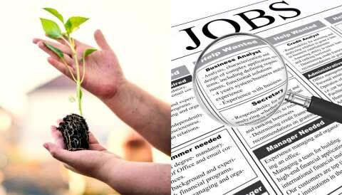 &Alpha;&gamma;&gamma;&epsilon;&lambda;ί&alpha; &Epsilon;&rho;&gamma;&alpha;&sigma;ί&alpha;&sigmaf;: &Zeta;&eta;&tau;&epsilon;ί&tau;&alpha;&iota; &gamma;&epsilon;&omega;&pi;ό&nu;&omicron;&sigmaf;