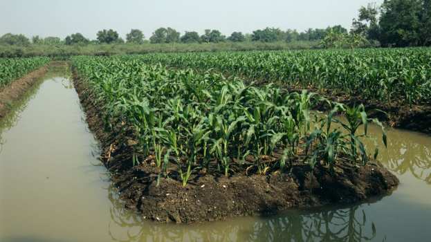 &Sigma;&epsilon; &epsilon;&pi;&iota;&chi;&epsilon;&iota;&rho;&eta;&sigma;&iota;&alpha;&kappa;ή &epsilon;&tau;&omicron;&iota;&mu;ό&tau;&eta;&tau;&alpha; &beta;&rho;ί&sigma;&kappa;&epsilon;&tau;&alpha;&iota; &eta; &Pi;&Epsilon; &Eta;&mu;&alpha;&theta;ί&alpha;&sigmaf; &gamma;&iota;&alpha; &tau;&eta;&nu; &alpha;&nu;&tau;&iota;&mu;&epsilon;&tau;ώ&pi;&iota;&sigma;&eta; &tau;&omega;&nu; &kappa;&alpha;&iota;&rho;&iota;&kappa;ώ&nu; &phi;&alpha;&iota;&nu;&omicron;&mu;έ&nu;&omega;&nu;