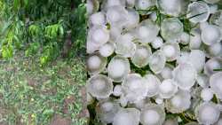 &Sigma;&phi;&omicron;&delta;&rho;ή &chi;&alpha;&lambda;&alpha;&zeta;ό&pi;&tau;&omega;&sigma;&eta; έ&pi;&lambda;&eta;&xi;&epsilon; &tau;&iota;&sigmaf; &kappa;&alpha;&lambda;&lambda;&iota;έ&rho;&gamma;&epsilon;&iota;&epsilon;&sigmaf; &sigma;&tau;&omicron; &Mu;&epsilon;&sigma;&eta;&mu;έ&rho;&iota; Έ&delta;&epsilon;&sigma;&sigma;&alpha;&sigmaf; - &Alpha;&nu;&alpha;&kappa;&omicron;ί&nu;&omega;&sigma;&eta; &Alpha;&Sigma; &Mu;&epsilon;&sigma;&eta;&mu;&epsilon;&rho;ί&omicron;&upsilon;-Έ&delta;&epsilon;&sigma;&sigma;&alpha;&sigmaf;