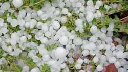 &Pi;&omicron;&iota;&epsilon;&sigmaf; &omicron;&iota; &alpha;&lambda;&lambda;&alpha;&gamma;έ&sigmaf; &sigma;&tau;&omicron;&nu; &Epsilon;&Lambda;&Gamma;&Alpha; - &Tau;&omicron;&mu;έ&sigmaf; &sigma;&epsilon; &gamma;&epsilon;&omega;&rho;&gamma;&iota;&kappa;ή &pi;&alpha;&rho;&alpha;&gamma;&omega;&gamma;ή, &kappa;&tau;&eta;&nu;&omicron;&tau;&rho;&omicron;&phi;ί&alpha; &kappa;&alpha;&iota; &alpha;&lambda;&iota;&epsilon;ί&alpha; &mu;&epsilon; &nu;&omicron;&mu;&omicron;&sigma;&chi;έ&delta;&iota;&omicron; &tau;&omicron;&upsilon; &Upsilon;&Pi;&Alpha;&Alpha;&Tau;