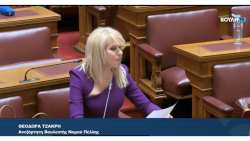 &Tau;&omicron;&pi;&omicron;&theta;έ&tau;&eta;&sigma;&eta; &Theta;&epsilon;&omicron;&delta;ώ&rho;&alpha;&sigmaf; &Tau;&zeta;ά&kappa;&rho;&eta; &sigma;&tau;&eta; &sigma;&upsilon;&nu;&epsilon;&delta;&rho;ί&alpha;&sigma;&eta; &tau;&eta;&sigmaf; &Delta;&iota;&alpha;&rho;&kappa;&omicron;ύ&sigmaf; &Mu;ό&nu;&iota;&mu;&eta;&sigmaf; &Epsilon;&pi;&iota;&tau;&rho;&omicron;&pi;ή&sigmaf; &Pi;&alpha;&rho;&alpha;&gamma;&omega;&gamma;ή&sigmaf; &kappa;&alpha;&iota; &Epsilon;&mu;&pi;&omicron;&rho;ί&omicron;&upsilon;