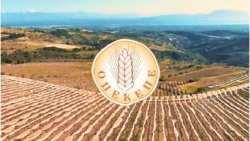 &Omicron;&Pi;&Epsilon;&Kappa;&Epsilon;&Pi;&Epsilon;: &Upsilon;&pi;&omicron;&beta;&omicron;&lambda;ή &pi;&alpha;&rho;&alpha;&sigma;&tau;&alpha;&tau;&iota;&kappa;ώ&nu; &sigma;&upsilon;&mu;&mu;ό&rho;&phi;&omega;&sigma;&eta;&sigmaf; &epsilon;&iota;&delta;&iota;&kappa;ώ&nu; &delta;&iota;&alpha;&tau;ά&xi;&epsilon;&omega;&nu; &gamma;&iota;&alpha; &tau;&eta;&nu; &pi;&alpha;&rho;ά&tau;&alpha;&sigma;&eta; &tau;&eta;&sigmaf; 1&eta;&sigmaf; &pi;&rho;ό&sigma;&kappa;&lambda;&eta;&sigma;&eta;&sigmaf; &tau;&eta;&sigmaf; &Delta;&rho;ά&sigma;&eta;&sigmaf; 10.1.09