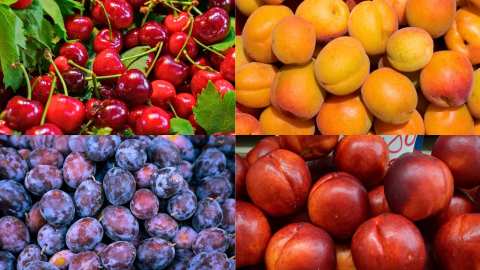 &Epsilon;&chi;&theta;&rho;&omicron;ί &kappa;&alpha;&iota; &alpha;&sigma;&theta;έ&nu;&epsilon;&iota;&epsilon;&sigmaf; &sigma;&tau;&alpha; &pi;&upsilon;&rho;&eta;&nu;ό&kappa;&alpha;&rho;&pi;&alpha; | &Alpha;&gamma;&rho;&omicron;&tau;&iota;&kappa;ά &nu;έ&alpha; IMATHIOTIKIGI.GR