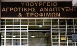 &Gamma;&iota;ά&nu;&nu;&eta;&sigmaf; &Omicron;&iota;&kappa;&omicron;&nu;ό&mu;&omicron;&upsilon;: &Sigma;&epsilon; &kappa;&alpha;&mu;ί&alpha; &pi;&epsilon;&rho;ί&pi;&tau;&omega;&sigma;&eta; &delta;&epsilon;&nu; έ&gamma;&iota;&nu;&epsilon; &lambda;ό&gamma;&omicron;&sigmaf; &gamma;&iota;&alpha; &kappa;&alpha;&lambda;&lambda;&iota;έ&rho;&gamma;&epsilon;&iota;&alpha;  &gamma;&epsilon;&nu;&epsilon;&tau;&iota;&kappa;ά &tau;&rho;&omicron;&pi;&omicron;&pi;&omicron;&iota;&eta;&mu;έ&nu;&omega;&nu; &omicron;&rho;&gamma;&alpha;&nu;&iota;&sigma;&mu;ώ&nu; &sigma;&tau;&eta;&nu; &Epsilon;&lambda;&lambda;ά&delta;&alpha;