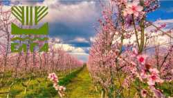 &Alpha;&nu;&alpha;&kappa;&omicron;ί&nu;&omega;&sigma;&eta; &pi;&omicron;&rho;&iota;&sigma;&mu;ά&tau;&omega;&nu; &epsilon;&kappa;&tau;ί&mu;&eta;&sigma;&eta;&sigmaf; &zeta;&eta;&mu;&iota;ώ&nu; &gamma;&iota;&alpha; &pi;&alpha;&gamma;&epsilon;&tau;ό (21.02.2025) - &Alpha;&phi;&omicron;&rho;ά &tau;&iota;&sigmaf; &Delta;.&Tau;.&Kappa; &Nu;έ&alpha;&sigmaf; &Nu;&iota;&kappa;&omicron;&mu;ή&delta;&epsilon;&iota;&alpha;&sigmaf; &kappa;&alpha;&iota; &Lambda;&upsilon;&kappa;&omicron;&gamma;&iota;ά&nu;&nu;&eta;&sigmaf; &sigma;&tau;&omicron; &Delta;ή&mu;&omicron; &Beta;έ&rho;&omicron;&iota;&alpha;&sigmaf;