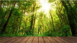 &Alpha;&nu;&alpha;&kappa;&omicron;ί&nu;&omega;&sigma;&eta; &gamma;&iota;&alpha; &tau;&eta;&nu; &mu;&epsilon;&tau;&epsilon;&gamma;&kappa;&alpha;&tau;ά&sigma;&tau;&alpha;&sigma;&eta; &tau;&omicron;&upsilon; &Delta;&alpha;&sigma;&alpha;&rho;&chi;&epsilon;ί&omicron;&upsilon; &Beta;έ&rho;&omicron;&iota;&alpha;&sigmaf;