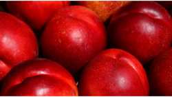 &Alpha;&xi;ί&zeta;&epsilon;&iota; ά&rho;&alpha;&gamma;&epsilon; &nu;&alpha; &tau;&alpha; &kappa;&alpha;&lambda;&lambda;&iota;&epsilon;&rho;&gamma;ή&sigma;&epsilon;&iota;&sigmaf;? &Nu;έ&epsilon;&sigmaf; &pi;&omicron;&iota;&kappa;&iota;&lambda;ί&epsilon;&sigmaf; &mu;&epsilon; &pi;&rho;&omicron;&omicron;&pi;&tau;&iota;&kappa;έ&sigmaf; &sigma;&tau;&omicron; &Nu;&epsilon;&kappa;&tau;&alpha;&rho;ί&nu;&iota;