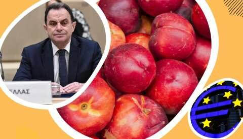 &Omicron;&upsilon;&kappa;&rho;&alpha;&nu;&iota;&kappa;ή &kappa;&alpha;&iota; &epsilon;&nu;&epsilon;&rho;&gamma;&epsilon;&iota;&alpha;&kappa;ή &kappa;&rho;ί&sigma;&eta;: &Pi;&rho;ό&sigma;&theta;&epsilon;&tau;&eta; &chi;&rho;&eta;&mu;&alpha;&tau;&omicron;&delta;ό&tau;&eta;&sigma;&eta; &tau;&eta;&sigmaf; &pi;&rho;&omega;&tau;&omicron;&gamma;&epsilon;&nu;&omicron;ύ&sigmaf; &pi;&alpha;&rho;&alpha;&gamma;&omega;&gamma;ή&sigmaf;, &zeta;ή&tau;&eta;&sigma;&epsilon; &omicron; &Upsilon;&pi;&Alpha;&Alpha;&Tau;, &sigma;&tau;&omicron; &Sigma;&upsilon;&mu;&beta;&omicron;ύ&lambda;&iota;&omicron; &Upsilon;&pi;&omicron;&upsilon;&rho;&gamma;ώ&nu; &tau;&eta;&sigmaf; &Epsilon;&Epsilon;