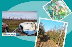 &Tau;&omicron; &Phi;&theta;&iota;&nu;ό&pi;&omega;&rho;&omicron; &alpha;&pi;&alpha;&iota;&tau;&epsilon;ί &chi;&alpha;&lambda;&kappa;&omicron;ύ&sigmaf; &sigma;&tau;&eta; &delta;&epsilon;&nu;&delta;&rho;&omicron;&kappa;&alpha;&lambda;&lambda;&iota;έ&rho;&gamma;&epsilon;&iota;&alpha;