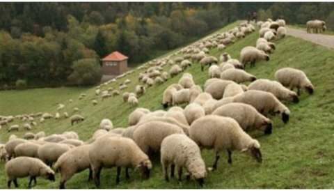 &Sigma;&tau;. &Alpha;&rho;&alpha;&chi;&omega;&beta;ί&tau;&eta;&sigmaf;: &laquo;&Tau;&omicron; &kappa;ό&sigma;&tau;&omicron;&sigmaf; &pi;&alpha;&rho;&alpha;&gamma;&omega;&gamma;ή&sigmaf; &sigma;&kappa;&omicron;&tau;ώ&nu;&epsilon;&iota; &tau;&eta;&nu; &epsilon;&gamma;&chi;ώ&rho;&iota;&alpha; &Kappa;&tau;&eta;&nu;&omicron;&tau;&rho;&omicron;&phi;ί&alpha;&raquo;