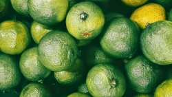 &Alpha;&pi;&omicron;&pi;&rho;&alpha;&sigma;&iota;&nu;&iota;&sigma;&mu;ό&sigmaf; &tau;&omega;&nu; &lambda;&epsilon;&mu;&omicron;&nu;&iota;ώ&nu;: &Pi;&omega;&sigmaf; &pi;&rho;&alpha;&gamma;&mu;&alpha;&tau;&omicron;&pi;&omicron;&iota;&epsilon;ί&tau;&alpha;&iota;