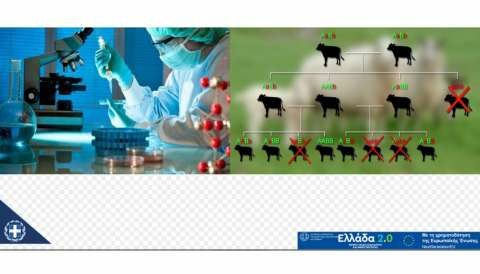 &Mu;&epsilon;&tau;ά&theta;&epsilon;&sigma;&eta; &tau;&eta;&sigmaf; &eta;&mu;&epsilon;&rho;&omicron;&mu;&eta;&nu;ί&alpha;&sigmaf; έ&nu;&alpha;&rho;&xi;&eta;&sigmaf; &upsilon;&pi;&omicron;&beta;&omicron;&lambda;ή&sigmaf; &alpha;&iota;&tau;ή&sigma;&epsilon;&omega;&nu; &epsilon;&nu;ί&sigma;&chi;&upsilon;&sigma;&eta;&sigmaf; &sigma;&tau;&omicron; &upsilon;&pi;&omicron;έ&rho;&gamma;&omicron; &Gamma;&epsilon;&nu;&epsilon;&tau;&iota;&kappa;ή &Beta;&epsilon;&lambda;&tau;ί&omega;&sigma;&eta; &Zeta;ώ&omega;&nu; &tau;&omicron;&upsilon; &Tau;&alpha;&mu;&epsilon;ί&omicron;&upsilon; &Alpha;&nu;ά&kappa;&alpha;&mu;&psi;&eta;&sigmaf; &kappa;&alpha;&iota; &Alpha;&nu;&theta;&epsilon;&kappa;&tau;&iota;&kappa;ό&tau;&eta;&tau;&alpha;&sigmaf;