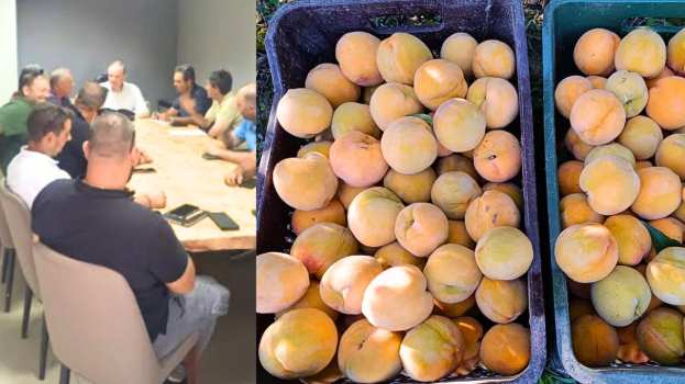 Ό&sigma;&alpha; &epsilon;&iota;&pi;ώ&theta;&eta;&kappa;&alpha;&nu; &sigma;&tau;&eta; &sigma;&upsilon;&nu;ά&nu;&tau;&eta;&sigma;&eta; 9 &Alpha;&gamma;&rho;&omicron;&tau;&iota;&kappa;ώ&nu; &Sigma;&upsilon;&lambda;&lambda;ό&gamma;&omega;&nu; &mu;&epsilon; &tau;&omicron;&nu; &Upsilon;&phi;&Alpha;&Alpha;&Tau; &Delta;&iota;&omicron;&nu;ύ&sigma;&eta; &Sigma;&tau;&alpha;&mu;&epsilon;&nu;ί&tau;&eta;