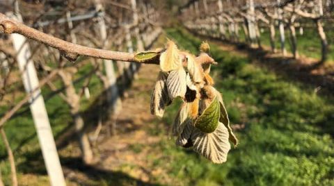 &Kappa;. &Mu;&eta;&tau;&sigma;&omicron;&tau;ά&kappa;&eta;&sigmaf; : &Theta;&alpha; &alpha;&pi;&omicron;&zeta;&eta;&mu;&iota;ώ&sigma;&omicron;&upsilon;&mu;&epsilon; &tau;&iota;&sigmaf; &zeta;&eta;&mu;&iota;έ&sigmaf; - &Theta;έ&lambda;&omega; &nu;&alpha; &gamma;ί&nu;&epsilon;&iota; &rho;&epsilon;&alpha;&lambda;&iota;&sigma;&tau;&iota;&kappa;ή &epsilon;&kappa;&tau;ί&mu;&eta;&sigma;&eta; &tau;&omicron;&upsilon; &mu;&epsilon;&gamma;έ&theta;&omicron;&upsilon;&sigmaf; &tau;&omicron;&upsilon;&sigmaf;