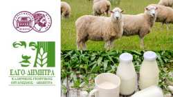 &Beta;έ&rho;&omicron;&iota;&alpha;: &Eta;&mu;&epsilon;&rho;ί&delta;&alpha; &gamma;&iota;&alpha; &Kappa;&tau;&eta;&nu;&omicron;&tau;&rho;ό&phi;&omicron;&upsilon;&sigmaf; &kappa;&alpha;&iota; &pi;&alpha;&rho;&alpha;&gamma;&omega;&gamma;&omicron;ύ&sigmaf; &gamma;&alpha;&lambda;&alpha;&kappa;&tau;&omicron;&kappa;&omicron;&mu;&iota;&kappa;ώ&nu; &pi;&rho;&omicron;ϊό&nu;&tau;&omega;&nu;