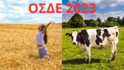 &Omicron;&Sigma;&Delta;&Epsilon;: &Alpha;&nu;&alpha;&kappa;&omicron;ί&nu;&omega;&sigma;&eta; &sigma;&chi;&epsilon;&tau;&iota;&kappa;ά &mu;&epsilon; &tau;&eta; &delta;&iota;&alpha;&tau;ή&rho;&eta;&sigma;&eta; &pi;&iota;&sigma;&tau;&omicron;&pi;&omicron;ί&eta;&sigma;&eta;&sigmaf; &tau;&omega;&nu; &Kappa;&Upsilon;&Delta; &gamma;&iota;&alpha; &tau;&omicron; έ&tau;&omicron;&sigmaf; &alpha;&iota;&tau;ή&sigma;&epsilon;&omega;&nu; 2023