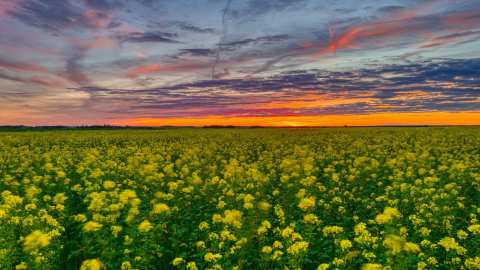 &Alpha;&Alpha;&Delta;&Epsilon;: &Epsilon;&Alpha;&Epsilon; 2025 &ndash; &Alpha;&nu;ά&rho;&tau;&eta;&sigma;&eta; &alpha;&pi;&omicron;&tau;&epsilon;&lambda;&epsilon;&sigma;&mu;ά&tau;&omega;&nu; Monitoring &kappa;&alpha;&iota; &upsilon;&pi;&omicron;&beta;&omicron;&lambda;ή &phi;&omega;&tau;&omicron;&gamma;&rho;&alpha;&phi;&iota;ώ&nu; &mu;&epsilon; &gamma;&epsilon;&omega;&sigma;ή&mu;&alpha;&nu;&sigma;&eta;