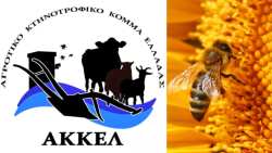 &Mu;ή&nu;&upsilon;&mu;&alpha; &Alpha;&Kappa;&Kappa;&Epsilon;&Lambda; &gamma;&iota;&alpha; &tau;&eta;&nu; &pi;&alpha;&gamma;&kappa;ό&sigma;&mu;&iota;&alpha; &eta;&mu;έ&rho;&alpha; &tau;&eta;&sigmaf; &mu;έ&lambda;&iota;&sigma;&sigma;&alpha;&sigmaf;