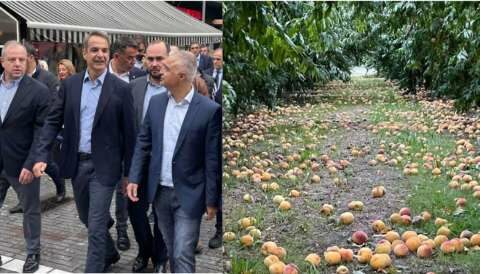 &Sigma;&upsilon;&zeta;ή&tau;&eta;&sigma;&eta; &mu;&epsilon; &tau;&omicron;&nu; &Pi;&rho;&omega;&theta;&upsilon;&pi;&omicron;&upsilon;&rho;&gamma;ό &gamma;&iota;&alpha; &tau;&alpha; &pi;&rho;&omicron;&beta;&lambda;ή&mu;&alpha;&tau;&alpha; &tau;&omega;&nu; &alpha;&gamma;&rho;&omicron;&tau;ώ&nu; &epsilon;ί&chi;&epsilon; &omicron; &Lambda;ά&zeta;&alpha;&rho;&omicron;&sigmaf; &Tau;&sigma;&alpha;&beta;&delta;&alpha;&rho;ί&delta;&eta;&sigmaf;