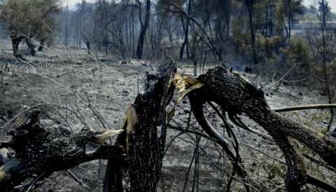 &Tau;&rho;&alpha;&gamma;&omega;&delta;ί&alpha; : 78&chi;&rho;&omicron;&nu;&omicron;&sigmaf; &beta;&rho;έ&theta;&eta;&kappa;&epsilon; &alpha;&pi;&alpha;&nu;&theta;&rho;&alpha;&kappa;&omega;&mu;έ&nu;&omicron;&sigmaf; &sigma;&epsilon; &chi;&omega;&rho;ά&phi;&iota;