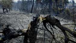 &Tau;&rho;&alpha;&gamma;&omega;&delta;ί&alpha; : 78&chi;&rho;&omicron;&nu;&omicron;&sigmaf; &beta;&rho;έ&theta;&eta;&kappa;&epsilon; &alpha;&pi;&alpha;&nu;&theta;&rho;&alpha;&kappa;&omega;&mu;έ&nu;&omicron;&sigmaf; &sigma;&epsilon; &chi;&omega;&rho;ά&phi;&iota;