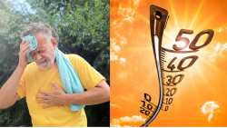 Έ&rho;&chi;&epsilon;&tau;&alpha;&iota; &nu;έ&omicron; &kappa;ύ&mu;&alpha; &kappa;&alpha;ύ&sigma;&omega;&nu;&alpha; - Έ&kappa;&tau;&alpha;&kappa;&tau;&omicron; &Delta;&epsilon;&lambda;&tau;ί&omicron; &Epsilon;&pi;&iota;&kappa;ί&nu;&delta;&upsilon;&nu;&omega;&nu; &Kappa;&alpha;&iota;&rho;&iota;&kappa;ώ&nu; &Phi;&alpha;&iota;&nu;&omicron;&mu;έ&nu;&omega;&nu; &alpha;&pi;ό &tau;&eta;&nu; &Epsilon;&Mu;&Upsilon;