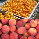 &Sigma;&upsilon;&nu;&delta;&epsilon;&delta;&epsilon;&mu;έ&nu;&eta; &epsilon;&nu;ί&sigma;&chi;&upsilon;&sigma;&eta; &sigma;&tau;&omicron; &epsilon;&pi;&iota;&tau;&rho;&alpha;&pi;έ&zeta;&iota;&omicron; &rho;&omicron;&delta;ά&kappa;&iota;&nu;&omicron; &kappa;&alpha;&iota; &tau;&rho;&iota;&pi;&lambda;&alpha;&sigma;&iota;&alpha;&sigma;&mu;ό &tau;&omicron;&upsilon; &pi;&rho;&omicron;ϋ&pi;&omicron;&lambda;&omicron;&gamma;&iota;&sigma;&mu;&omicron;ύ &tau;&eta;&sigmaf; &sigma;&upsilon;&nu;&delta;&epsilon;&delta;&epsilon;&mu;έ&nu;&eta;&sigmaf; &epsilon;&nu;ί&sigma;&chi;&upsilon;&sigma;&eta;&sigmaf; &sigma;&tau;&omicron; &sigma;&upsilon;&mu;&pi;ύ&rho;&eta;&nu;&omicron; &zeta;ή&tau;&eta;&sigma;&epsilon; &omicron; &Gamma;. &Kappa;&alpha;&rho;&alpha;&sigma;&mu;ά&nu;&eta;&sigmaf;